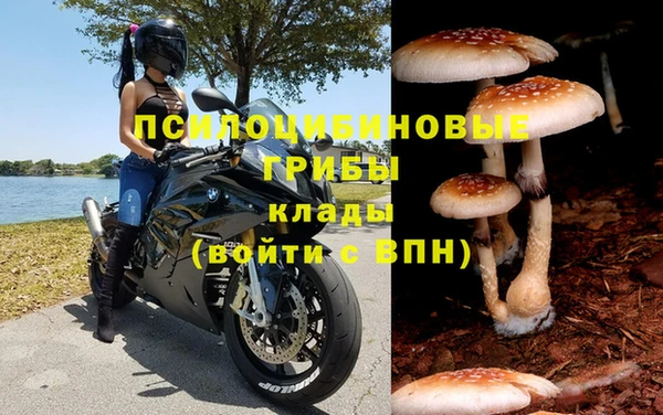 ALPHA PVP Нефтекумск
