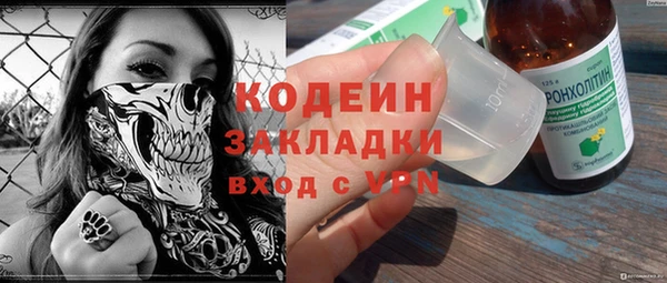 хмурый Алексин
