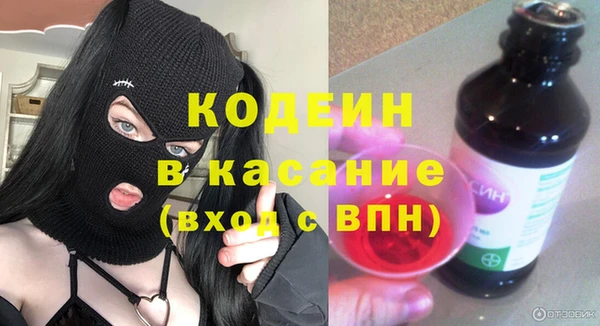 хмурый Алексин