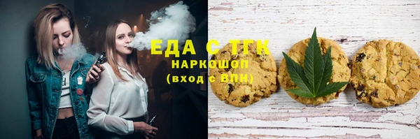 хмурый Алексин